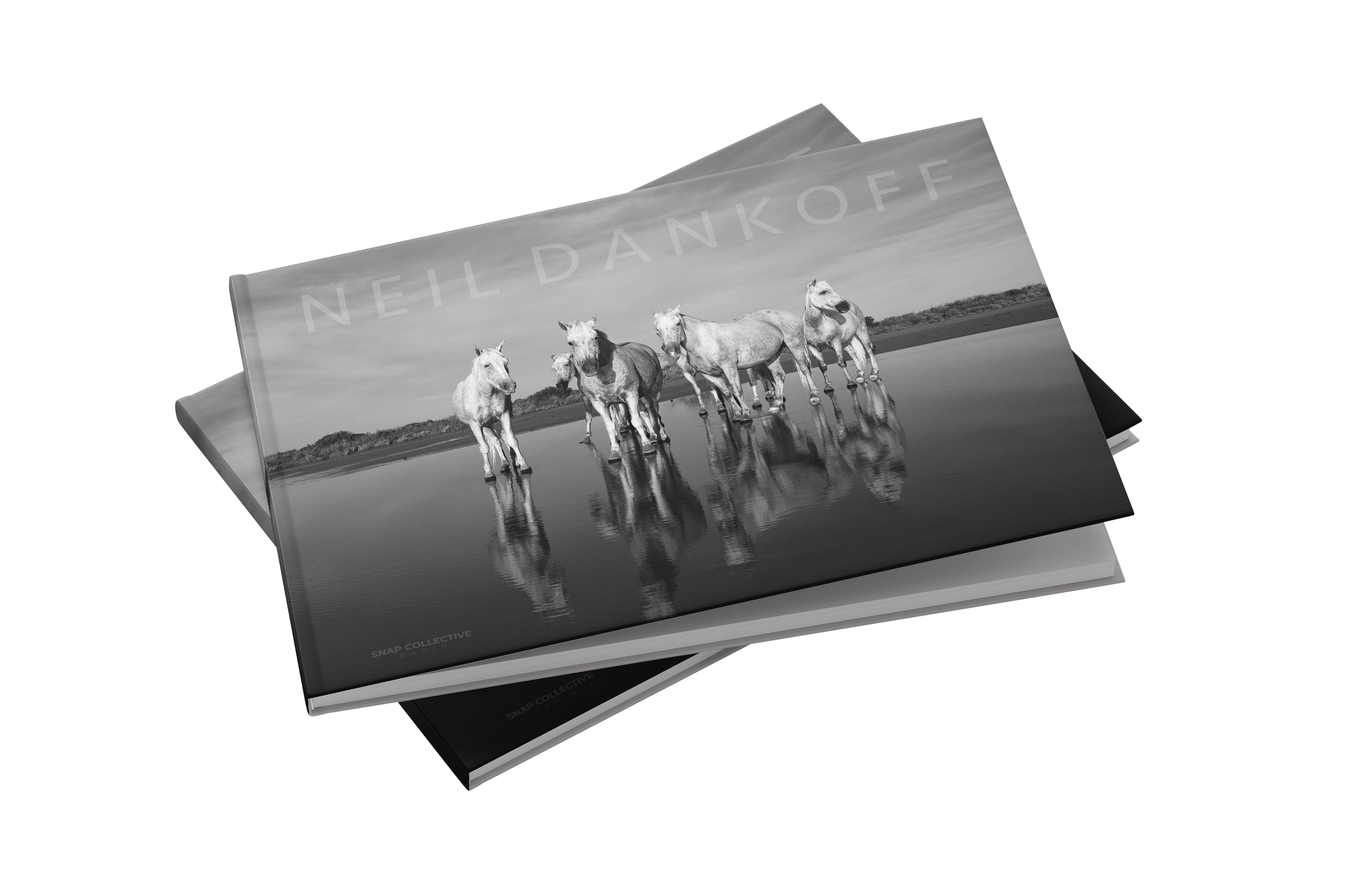 Neil Dankoff – Snap Collective Publishing K/S Neil Dankoff – Snap Collective Publishing K/S