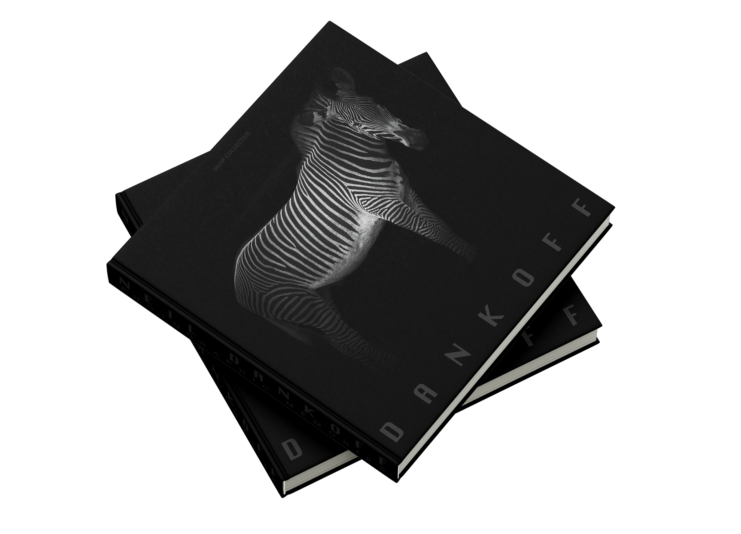 Photographic Memories by Neil Dankoff – Snap Collective Publishing K/S