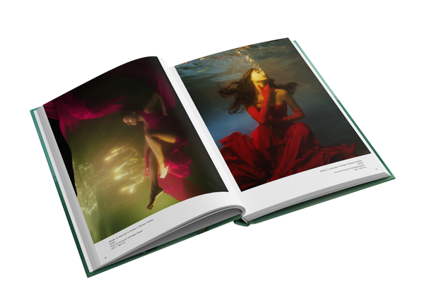 Voyage by Lara Zankoul