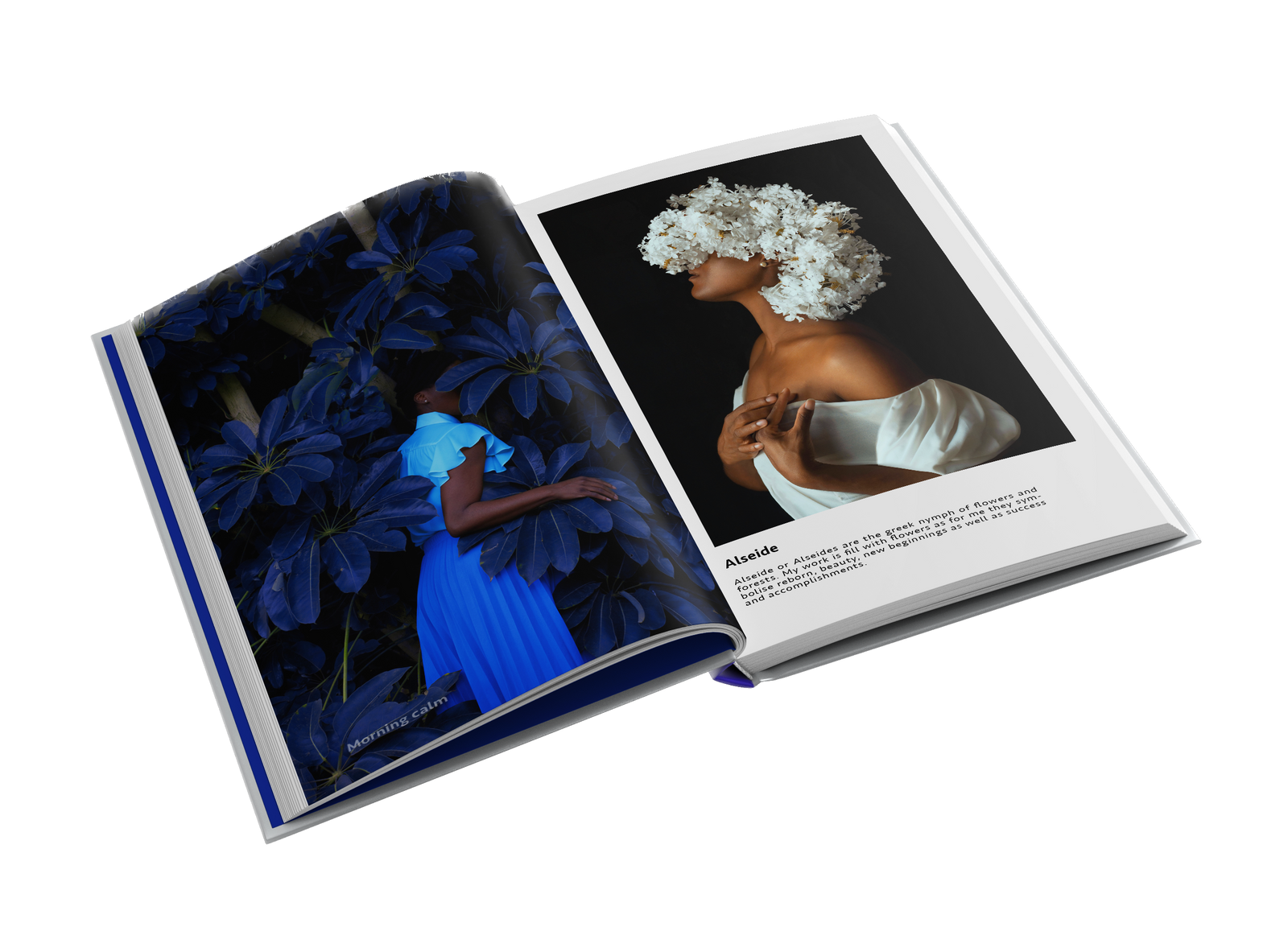 Journey to the Soul by Fares Micue – Snap Collective Publishing K/S