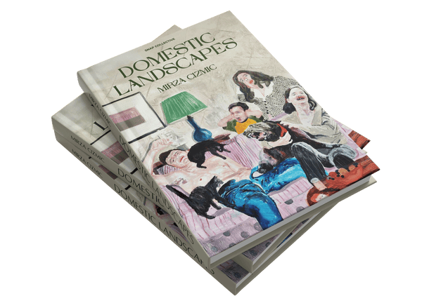 Domestic Landscapes and Happy Narratives by Mirza Cizmic