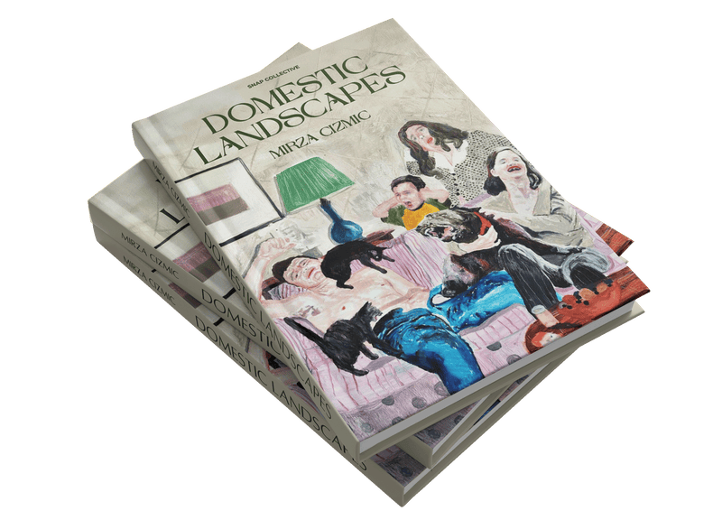 Domestic Landscapes and Happy Narratives by Mirza Cizmic