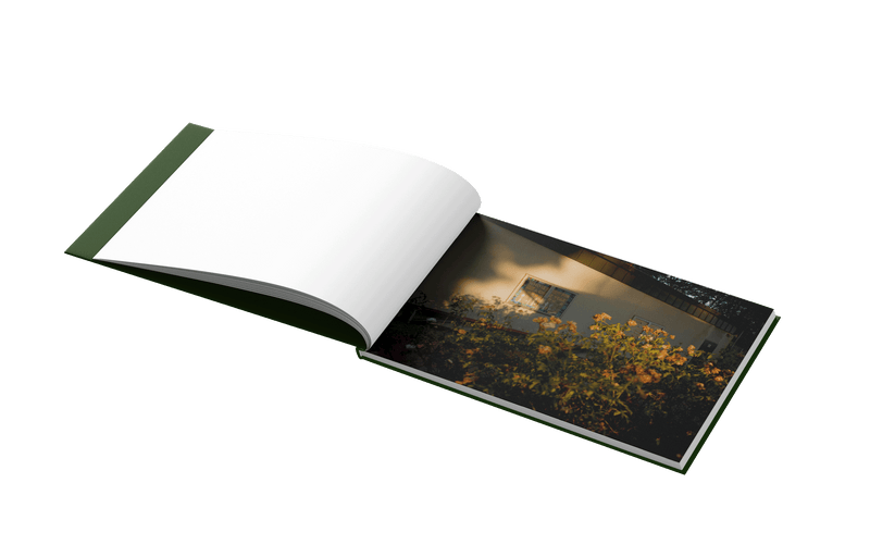 Early Years by Douglas Flores