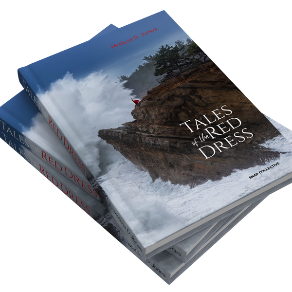fitted lace wedding dress Tales of the Red Dress by Melissa D. Jones – Snap Collective Publishing K/S