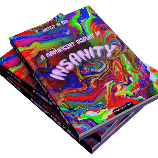 A Magnificent Display of Insanity by Artist In Red – Snap