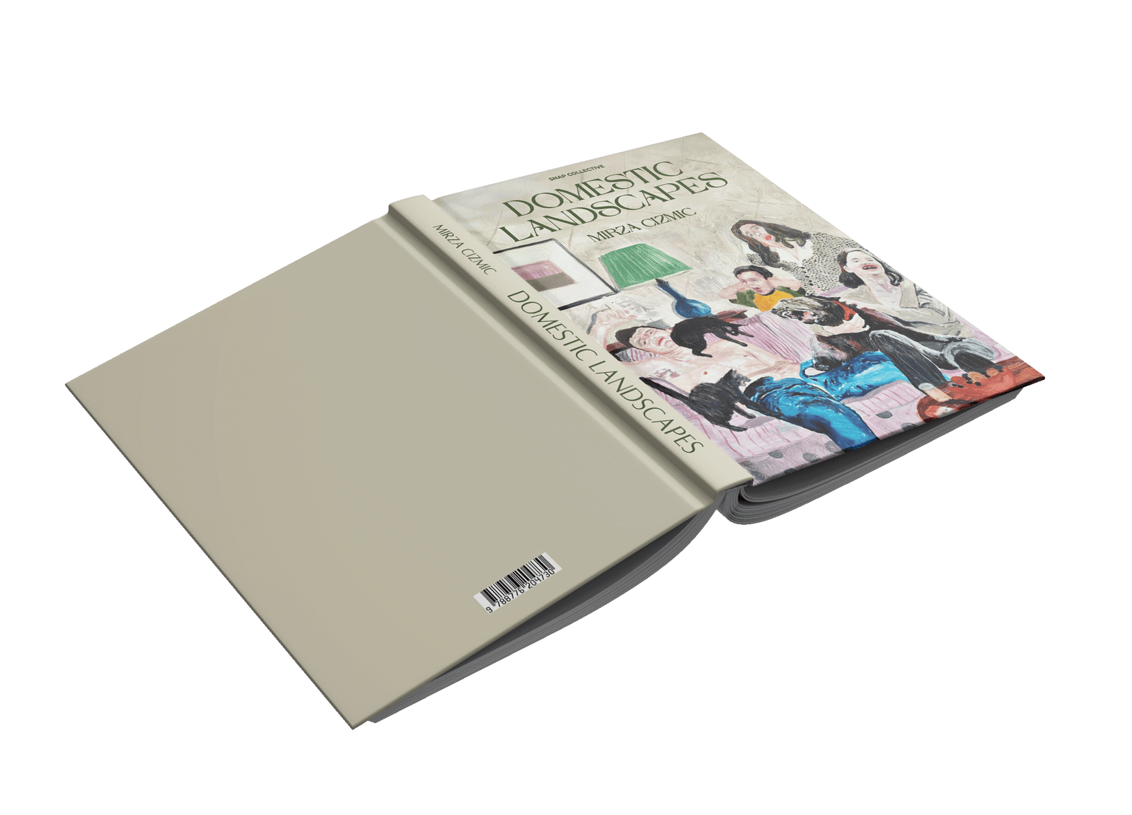 Domestic Landscapes and Happy Narratives by Mirza Cizmic – Snap