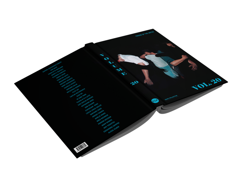 Volume 20 by Friend of the Artist