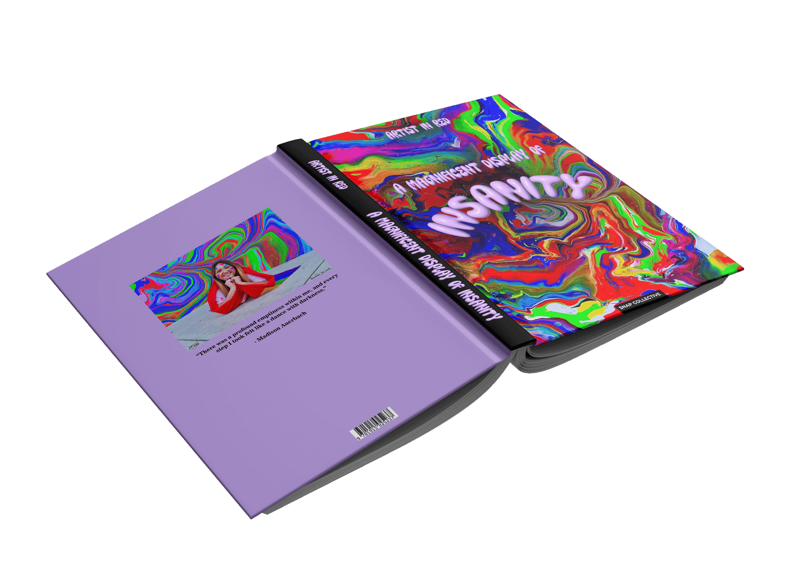 A Magnificent Display of Insanity by Artist In Red – Snap