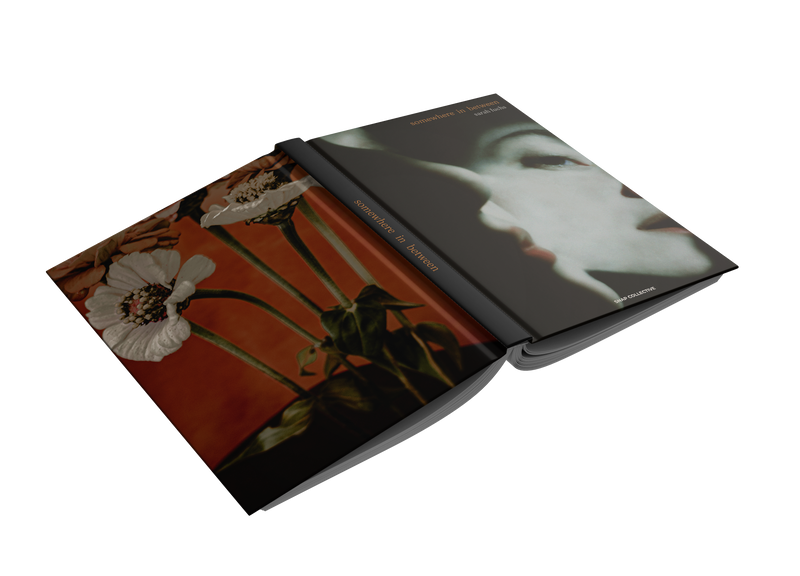 Somewhere In Between by SARAH  FUCHS