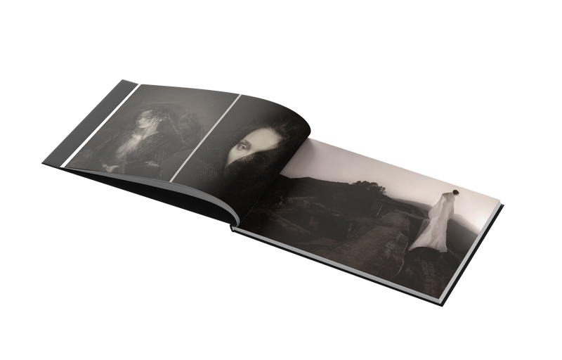 The Sensitometrist by George Evan