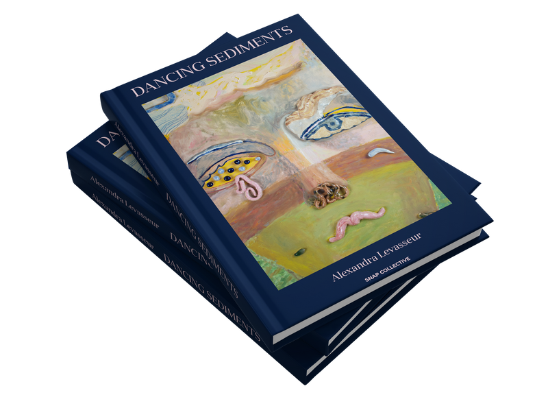 Dancing Sediments by Alexandra Levasseur