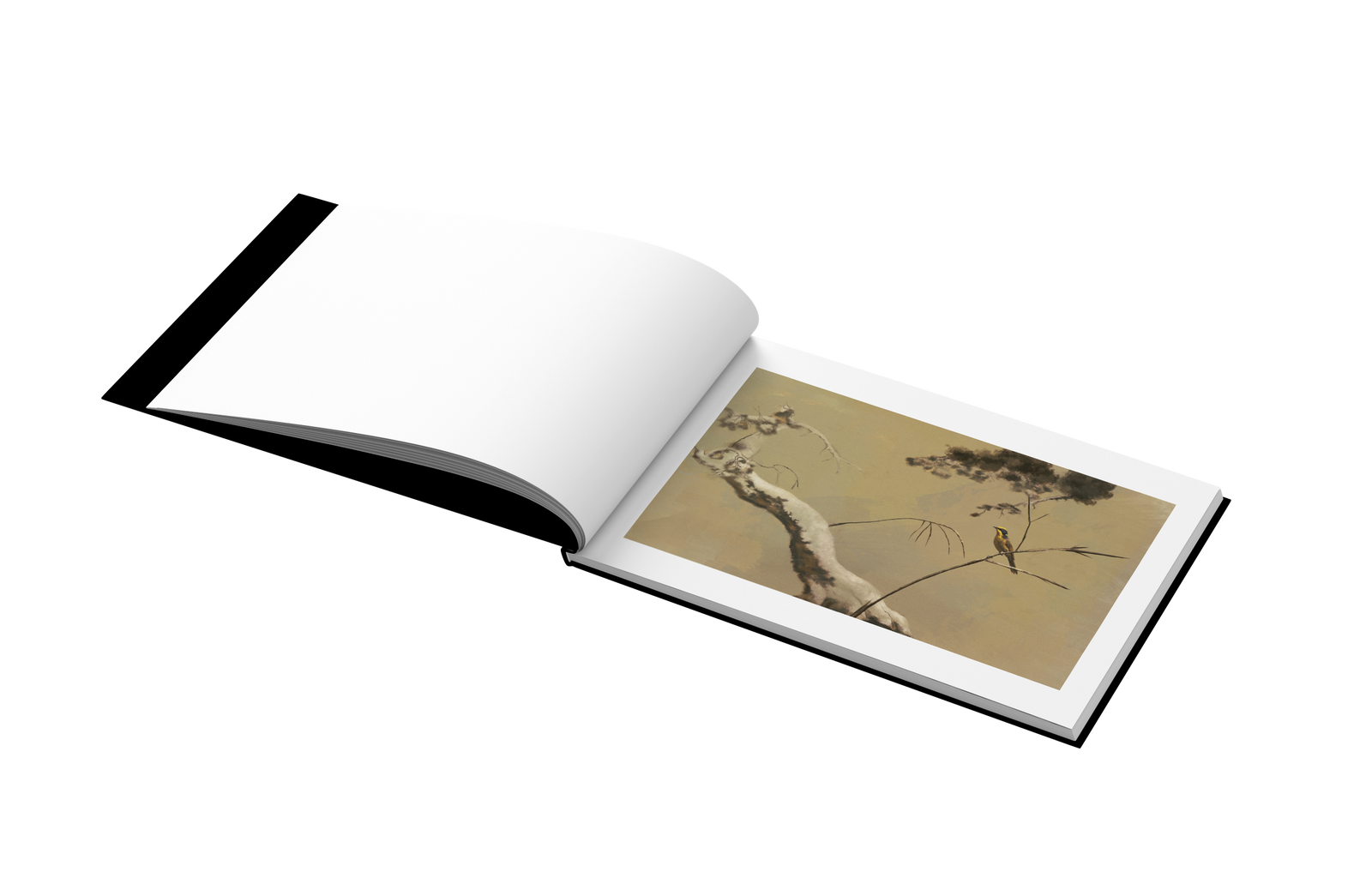 On Birds, Bees, and Other Insects by Ran Fuchs – Snap Collective