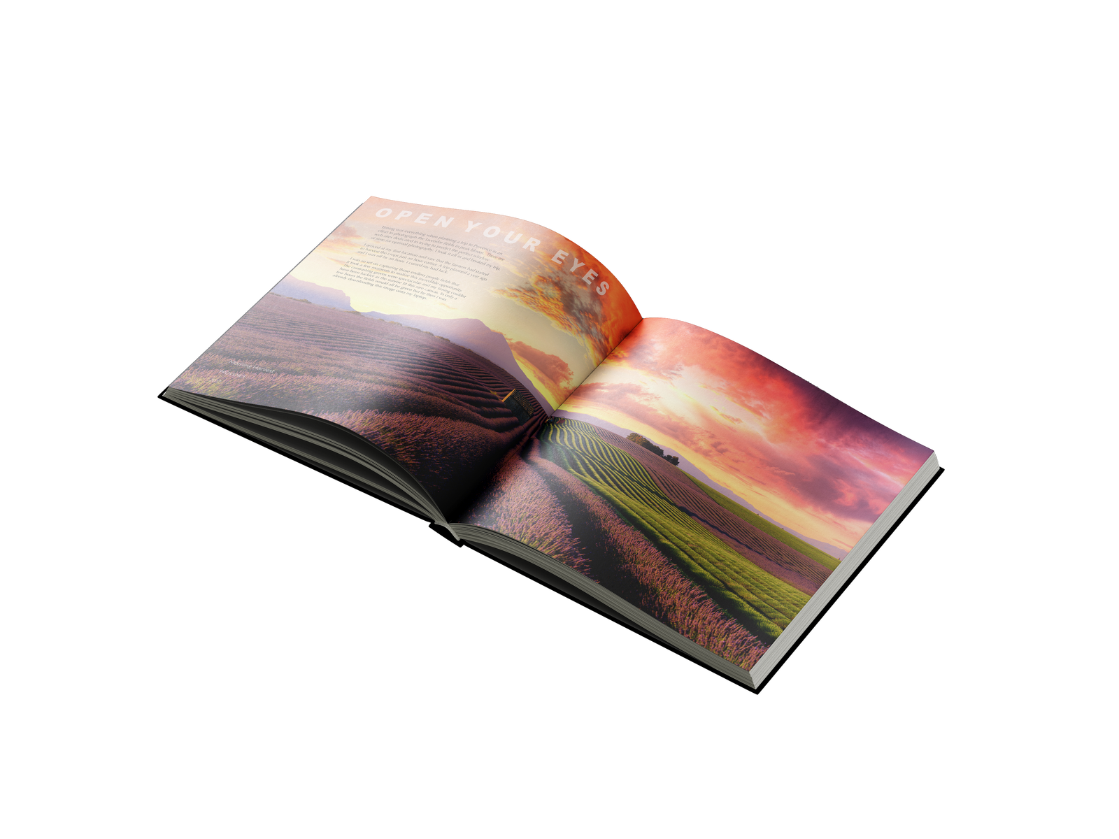 Photographic Memories by Neil Dankoff – Snap Collective Publishing K/S