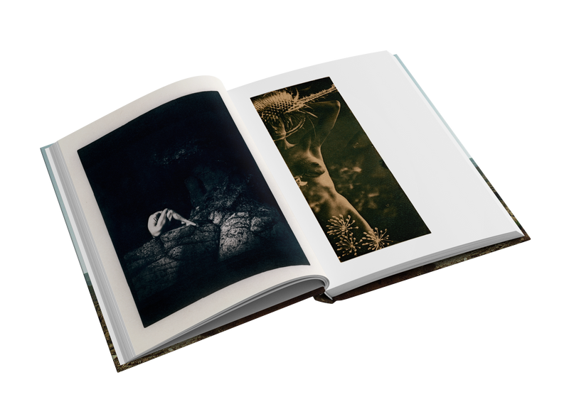 A Journey of Lost and Found by Emma Helena