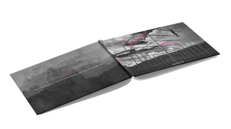 The Sensitometrist by George Evan