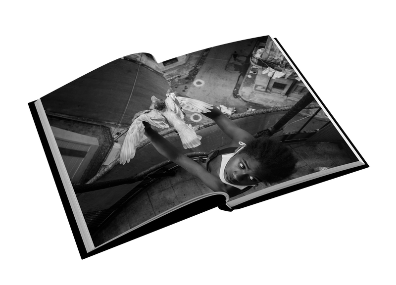 EL MONTE by Manuel Almenares