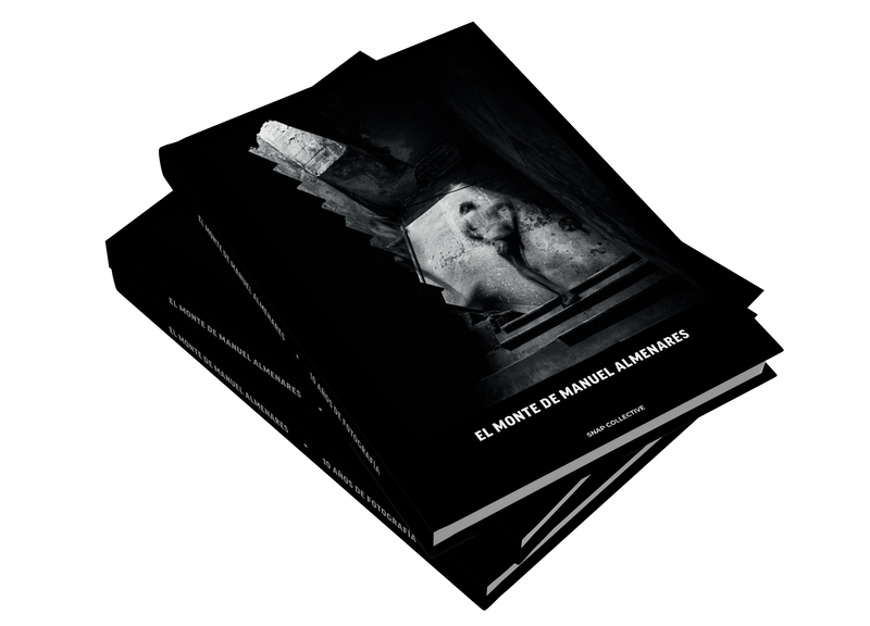 EL MONTE by Manuel Almenares
