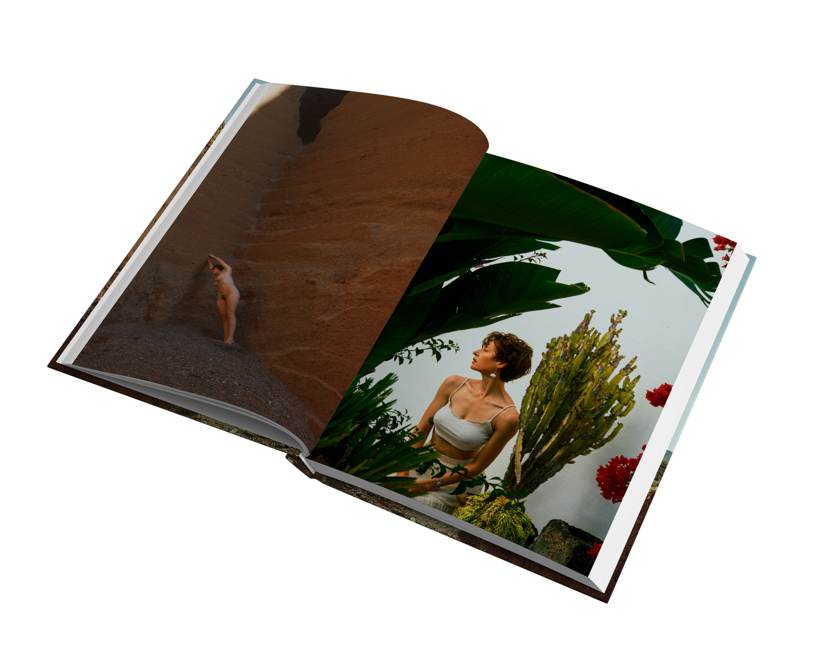 A Journey of Lost and Found by Emma Helena – Snap Collective