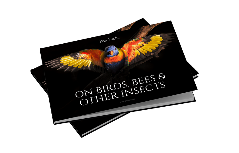 On Birds, Bees, and Other Insects by Ran Fuchs
