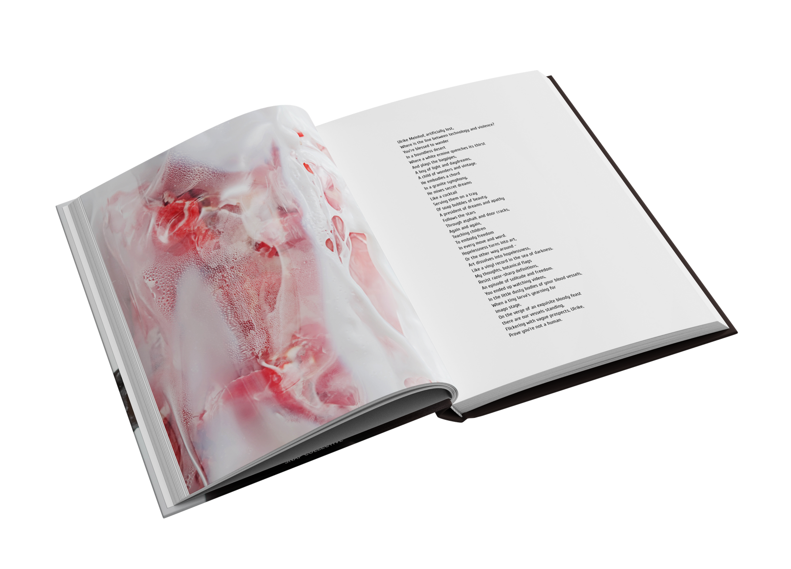 Confirm you are not a human by Katherina Sadovsky and Lilia Li-Mi