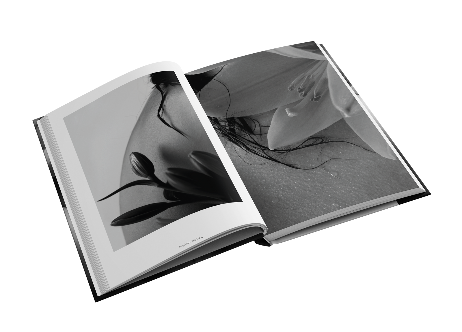 HIDDEN GEOMETRIES By Alessia Cortese – Snap Collective Publishing K/S