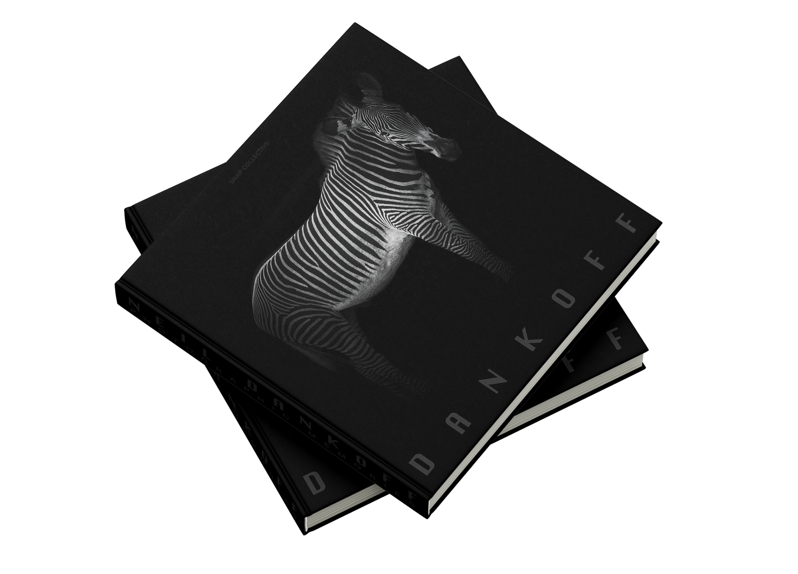 Photographic Memories by Neil Dankoff – Snap Collective Publishing K/S