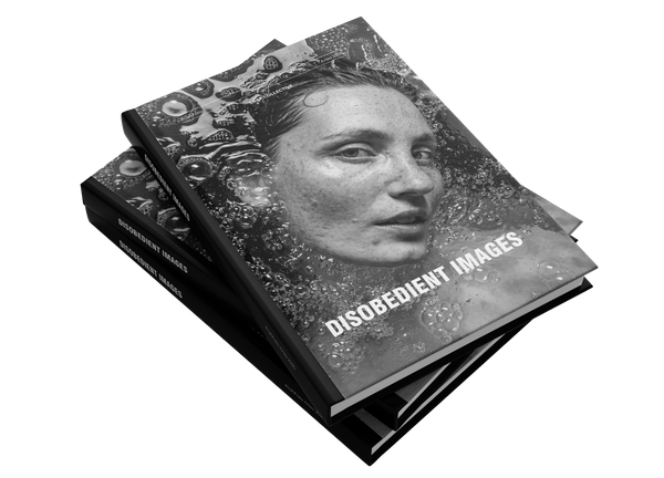 DISOBEDIENT IMAGES by Thomas Gerwers