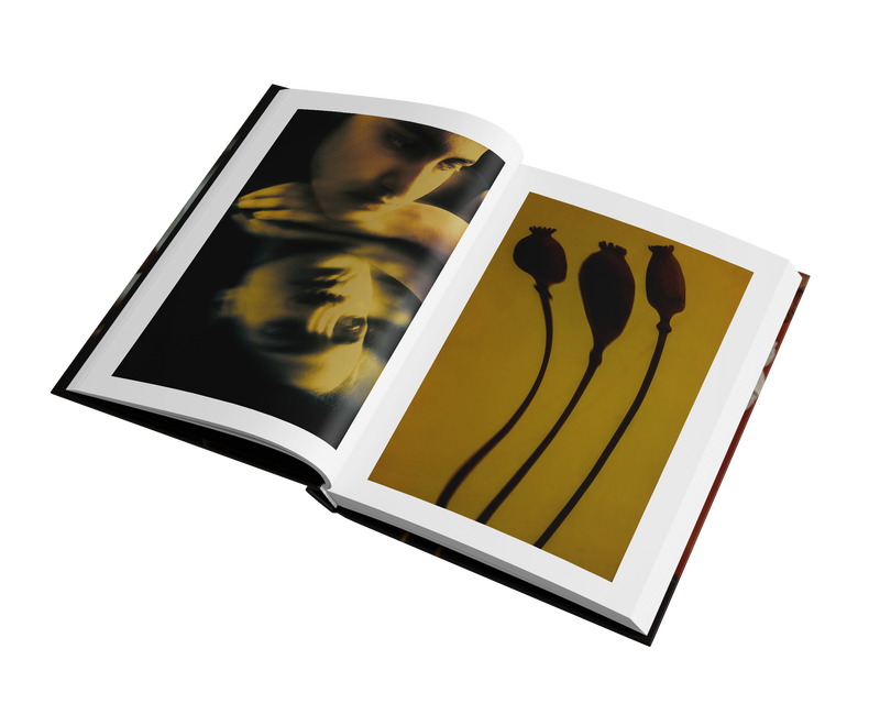 Somewhere In Between by SARAH  FUCHS