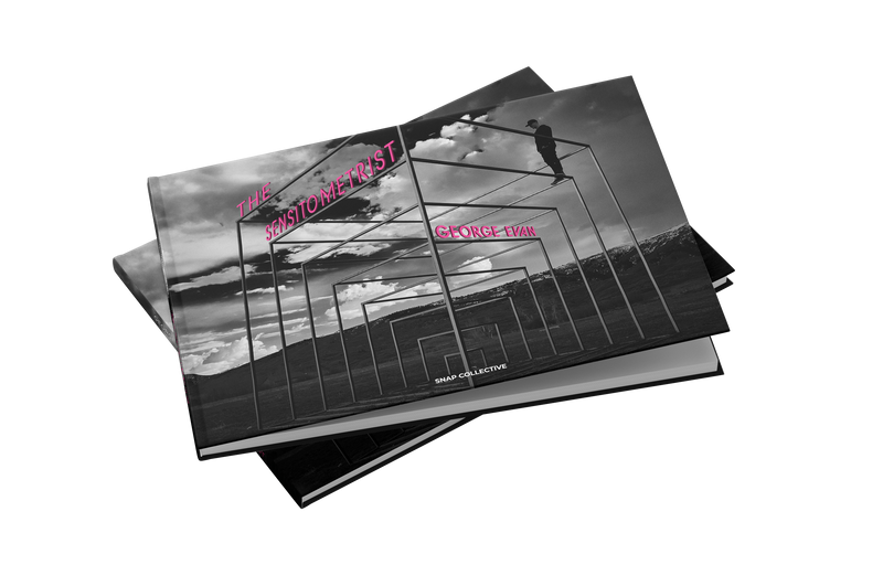 The Sensitometrist by George Evan