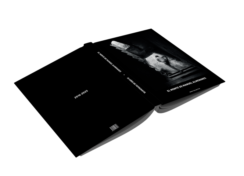 EL MONTE by Manuel Almenares