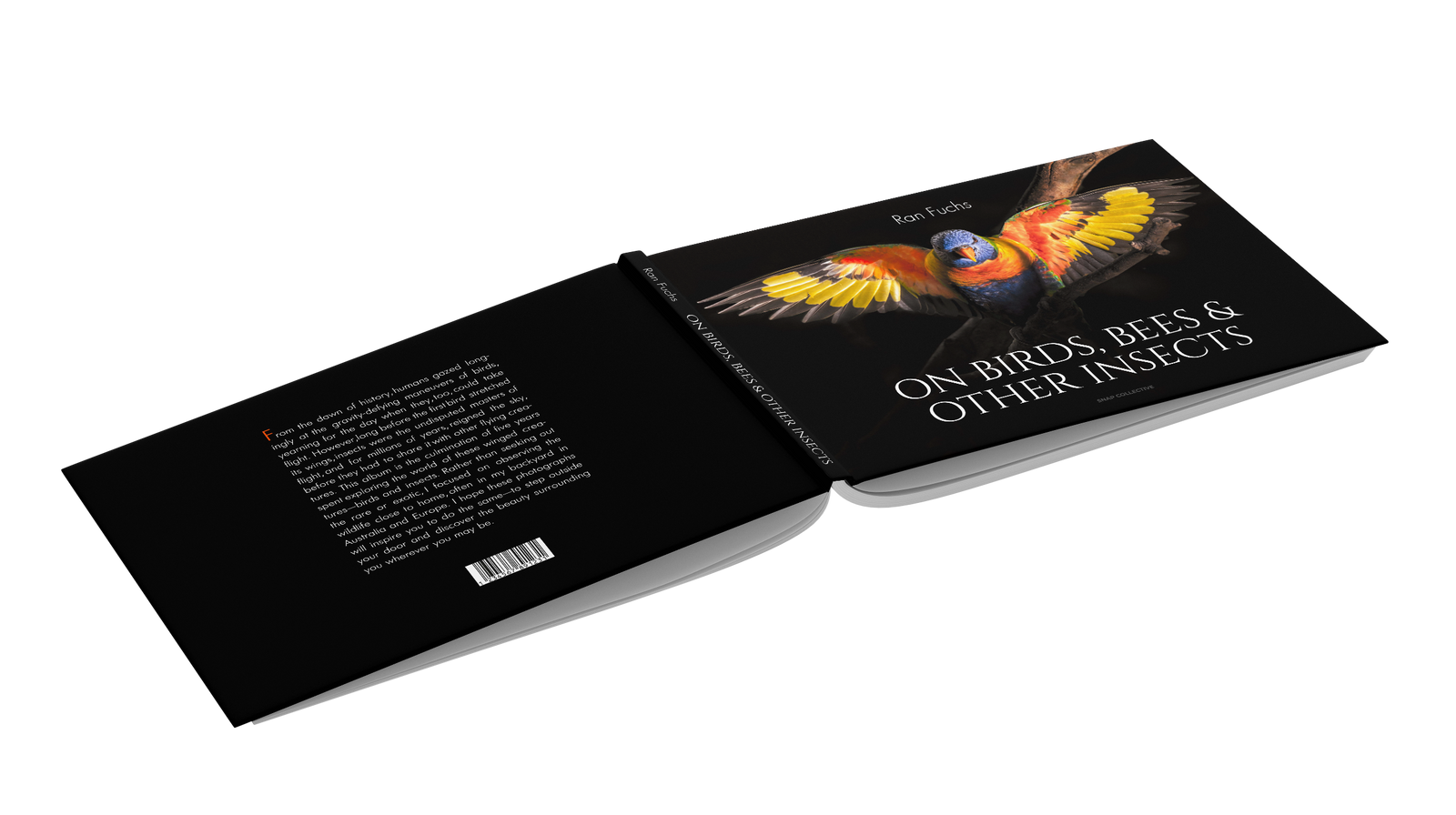 Chiharu　1冊 On Birds, Bees, and Other Insects by Ran Fuchs – Snap Collective