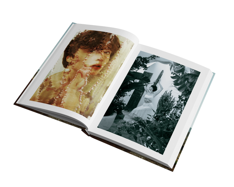 A Journey of Lost and Found by Emma Helena