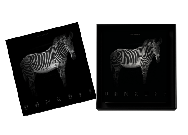 Photographic Memories by Neil Dankoff