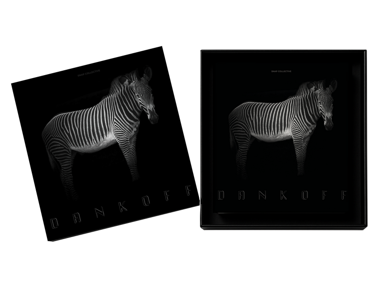 Photographic Memories by Neil Dankoff