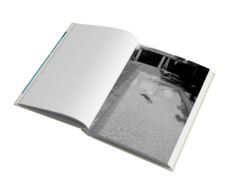 I saw them once by Katya Filimonova