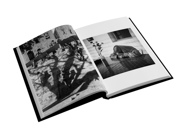 EL MONTE by Manuel Almenares