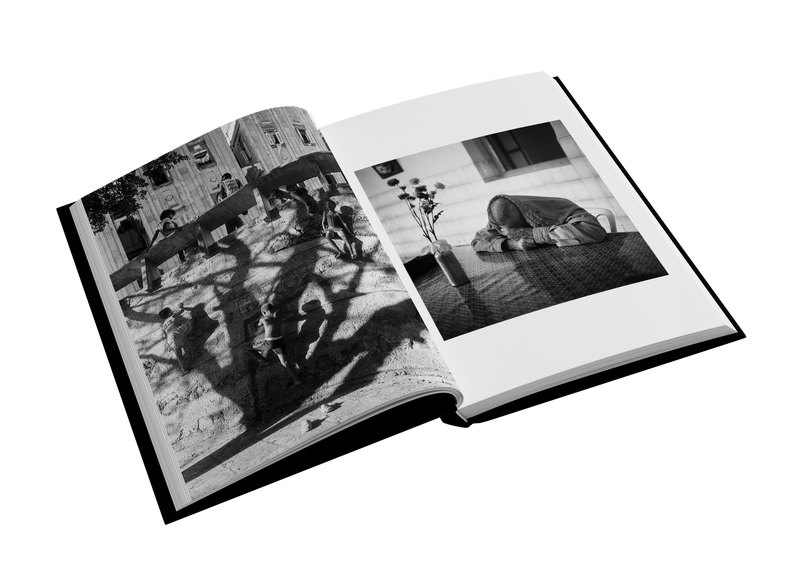 EL MONTE by Manuel Almenares