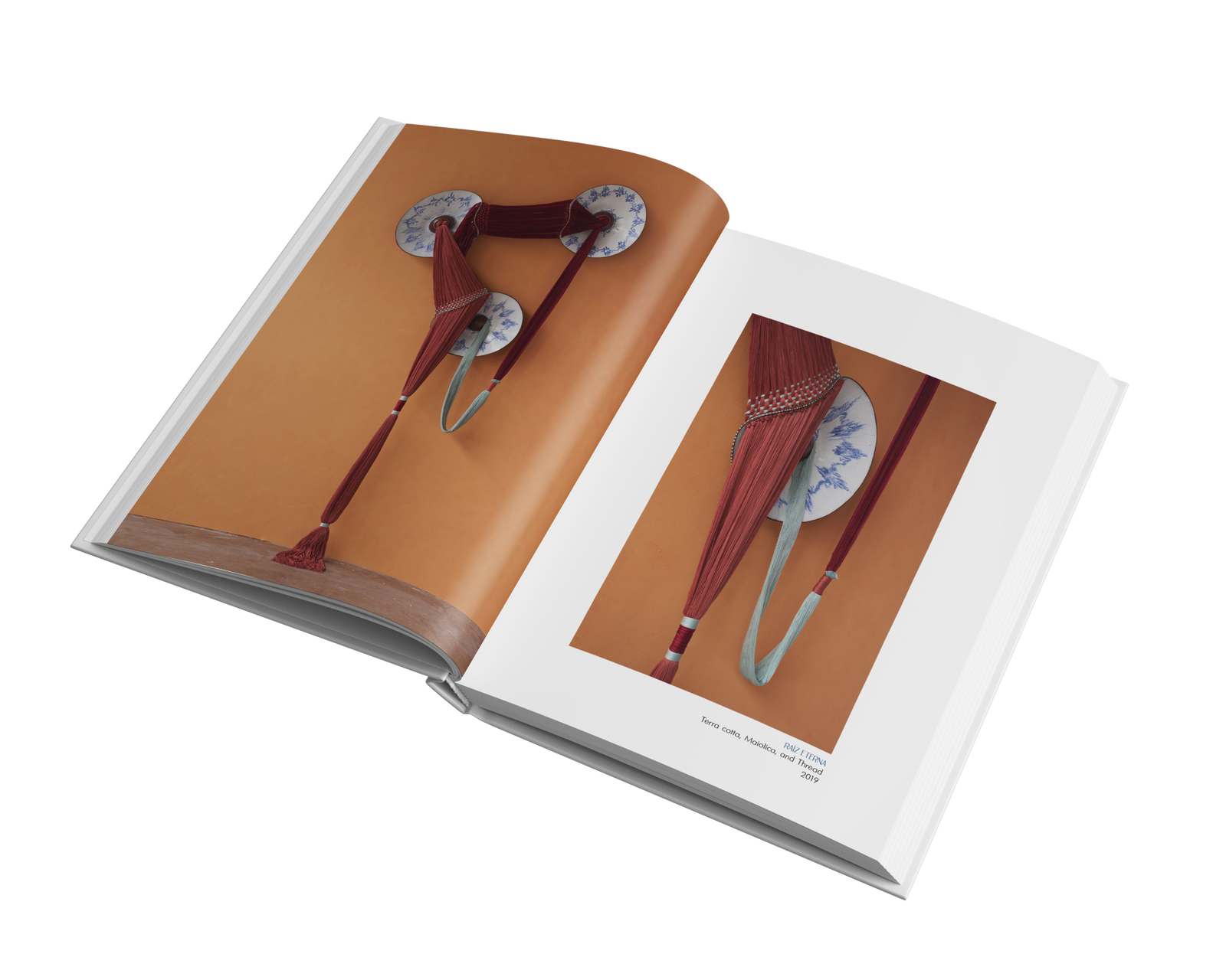 Duality and Dichotomy by Nicole McLaughlin – Snap Collective