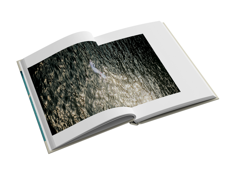 I saw them once by Katya Filimonova