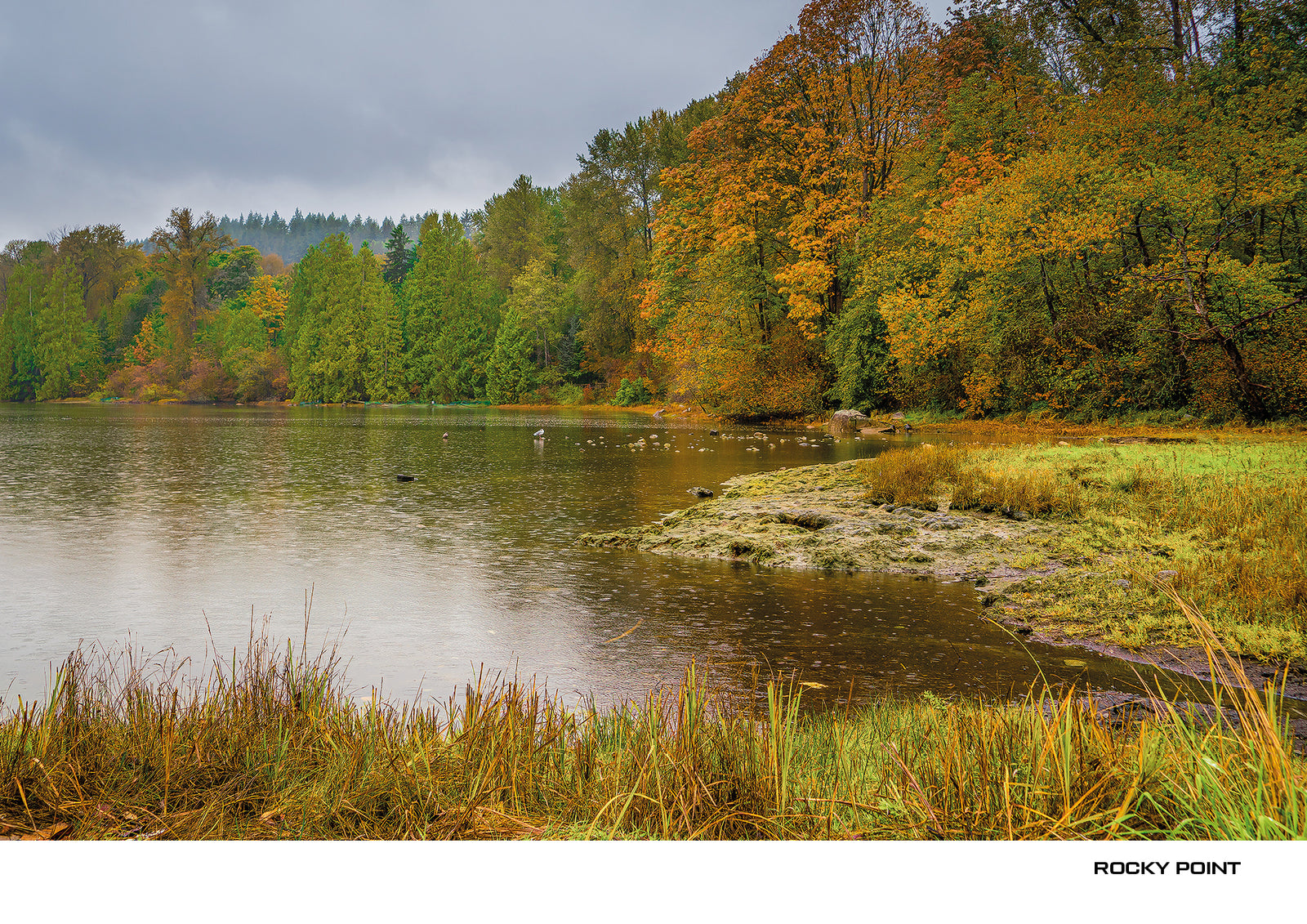 雑誌 BEAUTIFUL BRITISH COLUMBIA 31冊 カナダ 英語 1_38862516-dbdb-40ec-8321-