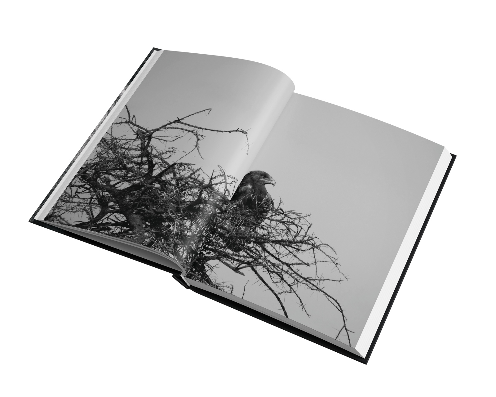Untouched Tanzania by Lena Hanten – Snap Collective Publishing K/S