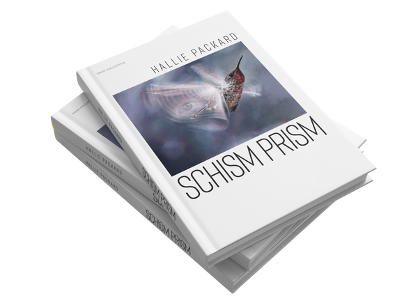 Schism Prism by Hallie Packard