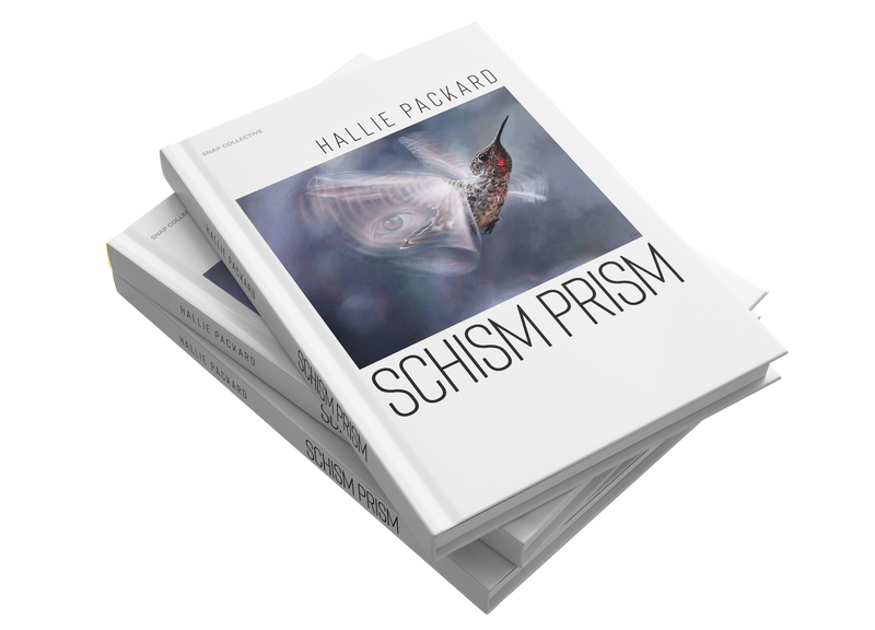 Schism Prism by Hallie Packard