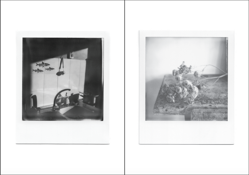 Polaroids by Audrey Borgel