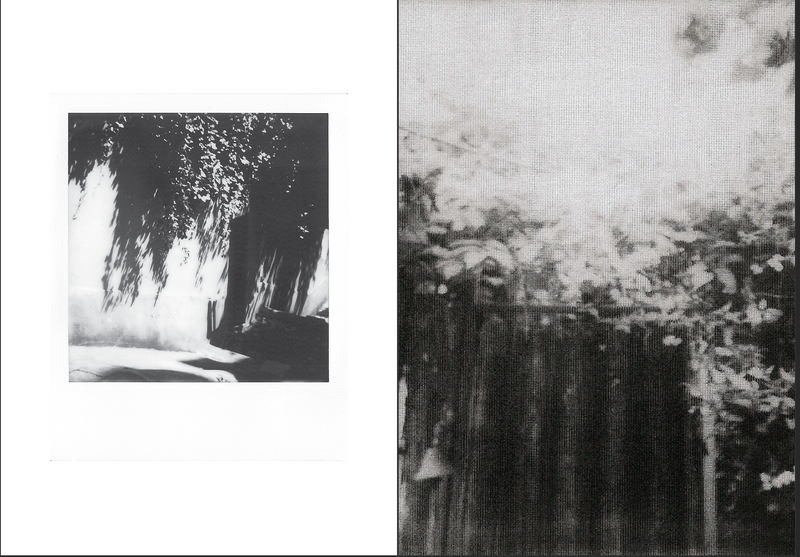 Polaroids by Audrey Borgel