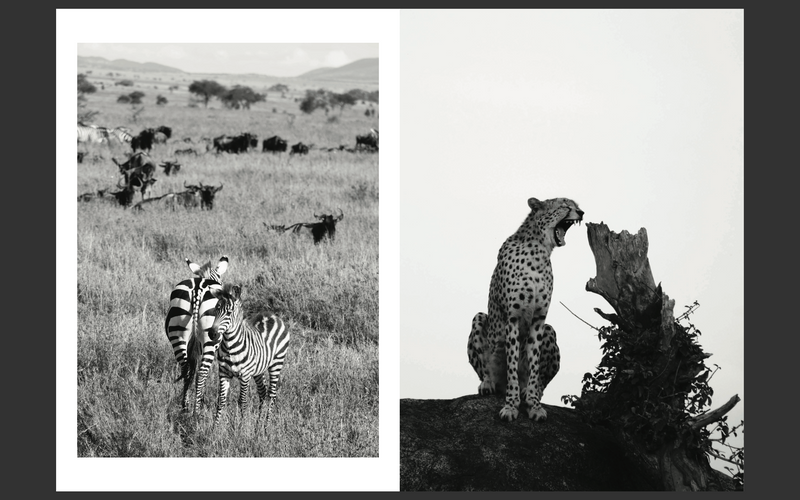 Untouched Tanzania by Lena Hanten