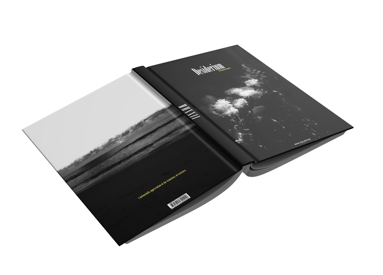 Desiderium By Eduardo Oropeza – Snap Collective Publishing K/S